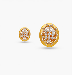 The Sparkling Ovate Earring
